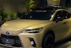Camping Gaya Sultan : Kenalan dengan Lexus RX 450h+ Overtrail, SUV Hybrid Super Nyaman!