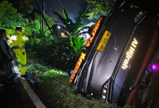 Laporan Warga ke 110 Selamatkan Penumpang Bus yang Terjun ke Jurang di Lahat