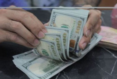 Nilai Rupiah Rupiah Jumat 5 Juli 2024 : Melemah 11 Poin Menjadi Rp16.341 per Dolar AS !