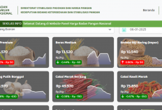 Harga Pangan 13 Januari 2025 Turun : Cabai Rawit Merah Sentuh Rp72.690 per Kilogram !