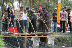 Muhammad Farid Panen Ikan Patin di Desa Sungai Rengit