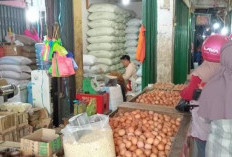 Harga Telur Ayam Ras di OKU Naik Rp2.000 per Kg