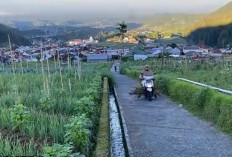 Desa-desa Tertinggi di Indonesia : Salah Satunya Lokasi Warung Pecel Mbok Yem yang Tertinggi di Dunia !