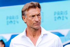 Herve Renard Gantikan Mancini