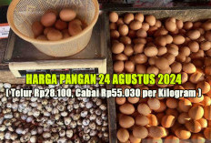 Harga Pangan 24 Agustus 2024 : Turun Tipis-tipis, Telur Rp28.100 per Kilogram, Cabai Rp55.030 per Kilogram !