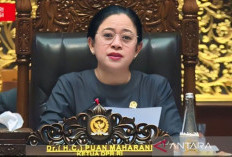 Puan Maharani : Wacana Penambahan Komisi Sedang Dimatangkan