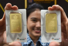 Update ! Harga Emas Antam 13 September 2024 : Makin Berkilau Naik Rp20.000 Menjadi Rp1.429.000 per Gram