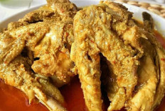 Jenis-Jenis Ayam yang Populer di Indonesia: Dari Peliharaan hingga Kuliner