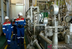Tawarkan Beralih ke Produk Refrigeran Ramah Lingkungan