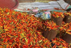 Update Harga Pangan 6 April 2026: Cabai Rawit Merah Rp83.150, Daging Ayam Rp44.000 per Kilogram !