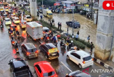 Ratu Dewa Bentuk Tim Gabungan Tindak Lanjut Putusan PTUN 2022