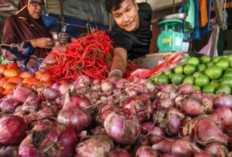 Harga Pangan 28 November 2024 : Fluktuatif, Bawang Merah Turun Jadi Rp38.910 per Kilogram !