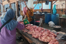 Jelang Ramadan, Daging Sapi Laris Manis di Muaraenim