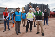 Pemerintah Pusat dan PLN Komitmen Dorong Akselerasi Energi Bersih 