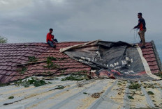 BPBD OKU Evakuasi Pohon Tumbang Timpa Rumah Warga