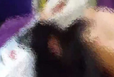 KDRT di Prabumulih Viral di Medsos, Seorang Istri Alami Luka Serius di Kepala