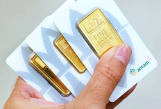 Harga Emas Antam Hari Ini 22 Agustus 2025: Naik Tipis Rp2.000 Menjadi Rp1,916 Juta per Gram ! 