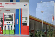 Pertamina Vs Shell : Siapa yang Menawarkan Harga BBM Paling Kompetitif di November 2024 ? 