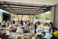 Dinas Pendidikan Kota Palembang Kirim 5 Truk Bantuan Kemanusiaan untuk Korban Bencana di Aceh, Sumbar, dan Sum