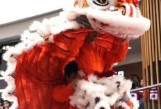 Barongsai dan Makna di Balik Gerakannya dalam Tradisi Imlek