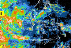 BMKG Prediksi Puncak Musim Hujan November 2024-Februari 2025 : Waspadai Cuaca Ekstrem !
