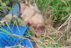 Pembunuhan Sadis Guncang Karang Anyar Banyuasin : Jasad Korban Ditutup Terpal di Tepi Jalan Tanjung Api-Api   