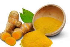 Nafsu Makan Berkurang? Coba Atasi dengan Mengkonsumsi Temulawak