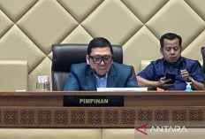 DPR Sepakat Pilkada Ulang Diadakan  September 2025