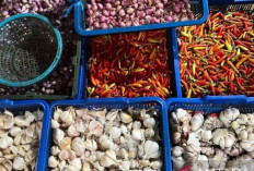 Update Harga Pangan 25 Mei 2026: Cabai Rawit Tembus Rp81.300, Telur Ayam Rp33.100 per Kilogram