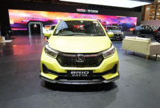 Sabet Best City Car: Honda Brio Kian Kokoh di Puncak Segmen Hatchback !
