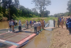 Desa Karang Dapo OKU Panen Patin Hasil Budi Daya Masyarakat