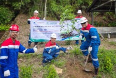 Pertamina Drilling Ajak Pekerja Tanam Pohon, Perkuat Komitmen Green Drilling dan Pengendalian Perubahan Iklim