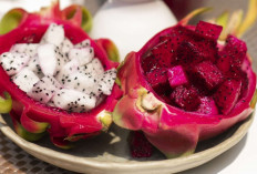 Buah Naga Putih Makin Diminati, Ini Manfaat dan Potensi Pasarnya di Indonesia