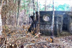 Siapa Puyang Siti Mora di Lubuklinggau ? Warisan Leluhur yang Misterius di Tengah Hutan Taba Baru !