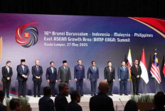 Presiden Prabowo Subianto Dukung Usulan PM Anwar    