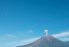 Gunung Semeru Muntahkan Kolom Abu Setinggi 900 Meter : Potensi Bahaya Erupsi