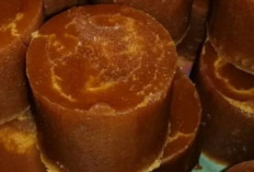 Atasi Masalah Batu Ginjal dan Sembelit dengan Gula Aren
