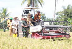 Banyuasin Masuk 3 Besar Penghasil Gabah Nasional : Optimis Dukung Swasembada Pangan !