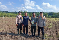 Dukung Swasembada Pangan Nasional, Tanam Jagung Seluas 1 Hektar