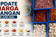 Update Harga Pangan 8 Juni 2026: Cabai Rawit Merah Tembus Rp73.700, Telur Ayam Ras Rp29.700 per Kilogram
