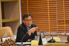 Desa Wisata Gunung Dempo Ditutup, Alfrenzi Panggarbesi Minta Wali Kota dan PTPN Duduk Bareng