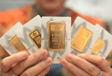 Harga Emas Antam Hari Ini, 22 Oktober 2025: Anjlok Rp177.000, Turun ke Level Rp2,31 Juta per Gram !