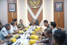 Sumsel Tuan Rumah Hari UMKM 2024 : 5-8 September 2024