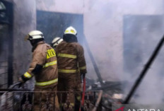 Kebakaran Hebat di Pabrik Baterai Hwaseong : 22 Karyawan Tewas Terpanggang !