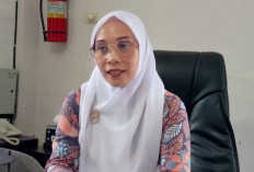 Jelang Akhir Tahun: Harga Telur Ayam Ras di Lubuklinggau Melonjak Signifikan,  Ini Penjelasan Disperindag !