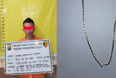 Pelaku Jambret Bermotor yang Meresahkan Masyarakat Diringkus, Ini Tampang Pelaku
