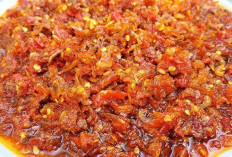 Sambal Udang Rebon: Cita Rasa Tradisional yang Kian Diminati Pecinta Kuliner Nusantara