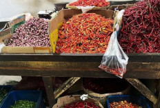 Harga Pangan 13 Juli 2025: Cabai, Bawang, dan Beras Mulai Terkendali !
