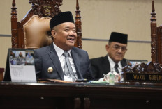Cik Ujang Apresiasi Pansus Perkebunan DPRD Sumsel, Soroti Ribuan Hektare Lahan Bermasalah