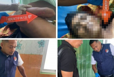 Petani di OKU Tewas Tersengat Listrik saat Sedang Memanen Sawit
